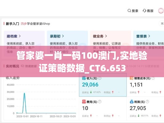 管家婆一肖一码100澳门,实地验证策略数据_CT6.653