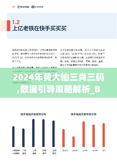 2024年黄大仙三肖三码,数据引导策略解析_BT14.121