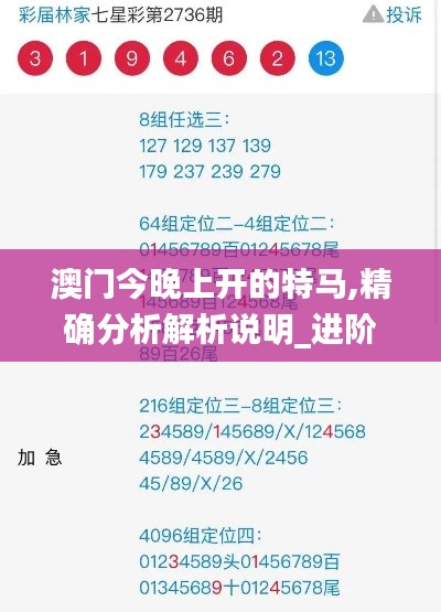 澳门今晚上开的特马,精确分析解析说明_进阶版1.693