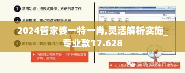 2024管家婆一特一肖,灵活解析实施_专业款17.628