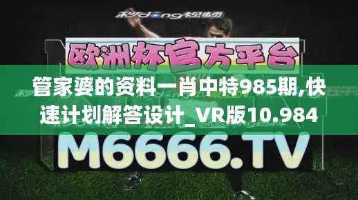 管家婆的资料一肖中特985期,快速计划解答设计_VR版10.984