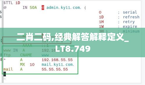 二肖二码,经典解答解释定义_LT8.749