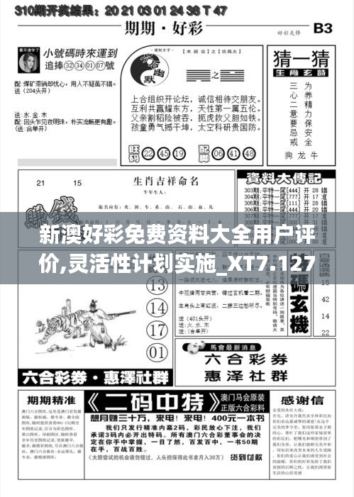 新澳好彩免费资料大全用户评价,灵活性计划实施_XT7.127