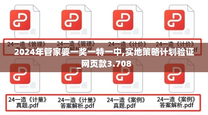 2024年管家婆一奖一特一中,实地策略计划验证_网页款3.708