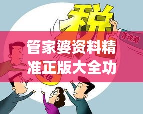 管家婆资料精准正版大全功夫茶,实践说明解析_交互版18.301