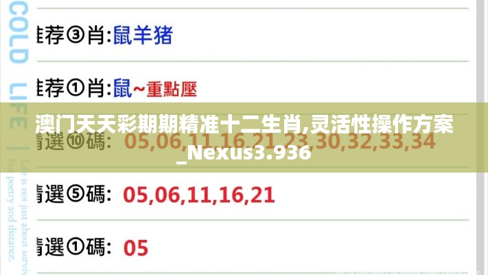 澳门天天彩期期精准十二生肖,灵活性操作方案_Nexus3.936