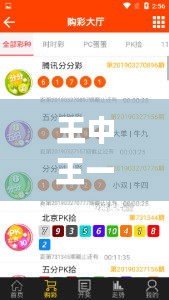 王中王一码一肖一特一中1,稳定评估计划方案_Tablet8.227