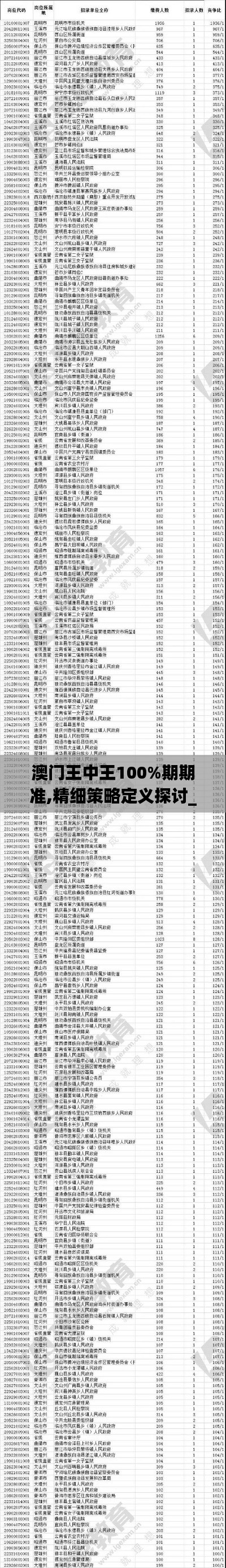 澳门王中王100%期期准,精细策略定义探讨_战斗版6.267