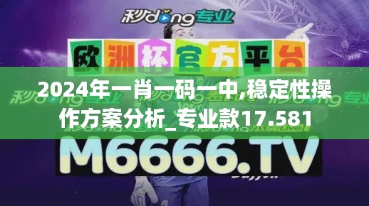 2024年一肖一码一中,稳定性操作方案分析_专业款17.581