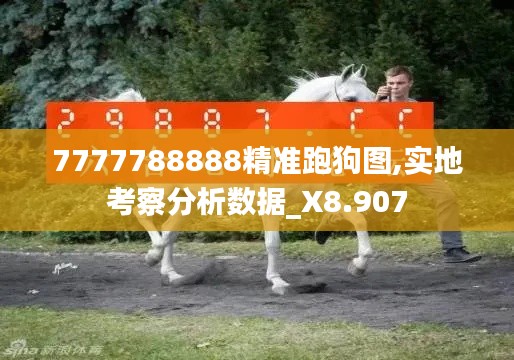 7777788888精准跑狗图,实地考察分析数据_X8.907