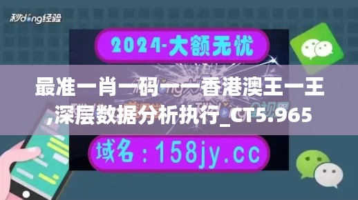 最准一肖一码一一香港澳王一王,深层数据分析执行_CT5.965