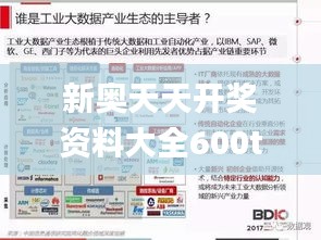 新奥天天开奖资料大全600tKm,实地评估数据方案_专家版2.608