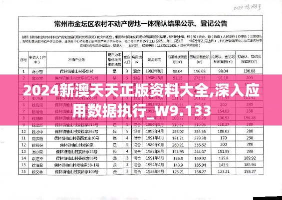 2024新澳天天正版资料大全,深入应用数据执行_W9.133