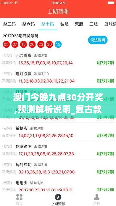 澳门今晚九点30分开奖,预测解析说明_复古款3.205