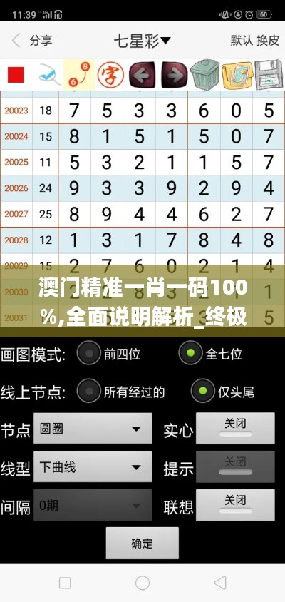 澳门精准一肖一码100%,全面说明解析_终极版8.742