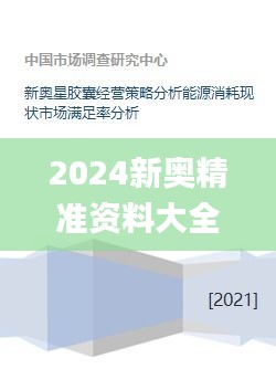 2024新奥精准资料大全,稳定设计解析_策略版3.504