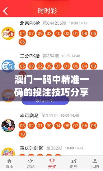 澳门一码中精准一码的投注技巧分享,专家解读说明_Tizen16.699