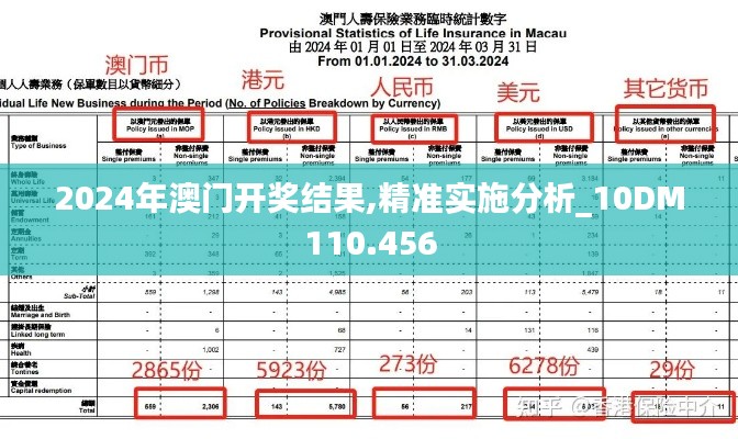 2024年澳门开奖结果,精准实施分析_10DM110.456