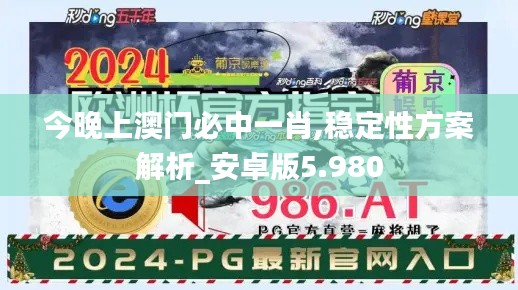 今晚上澳门必中一肖,稳定性方案解析_安卓版5.980