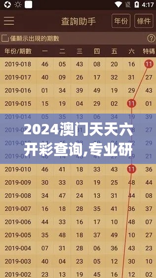 2024澳门天天六开彩查询,专业研究解析说明_soft7.946