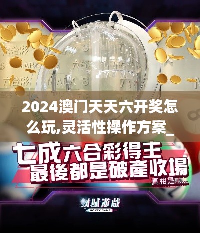 2024澳门天天六开奖怎么玩,灵活性操作方案_uShop1.377