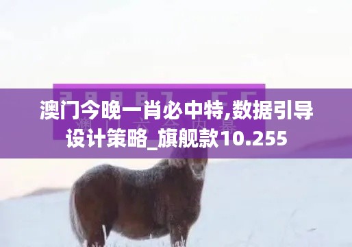 澳门今晚一肖必中特,数据引导设计策略_旗舰款10.255