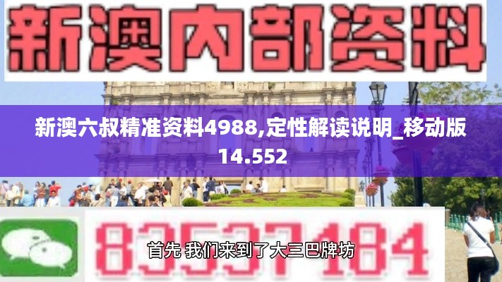 新澳六叔精准资料4988,定性解读说明_移动版14.552