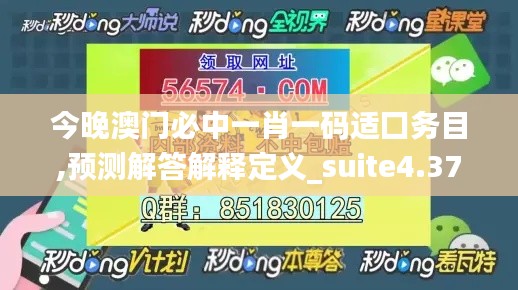 今晚澳门必中一肖一码适囗务目,预测解答解释定义_suite4.370