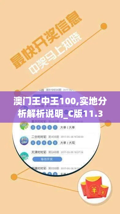 澳门王中王100,实地分析解析说明_C版11.308