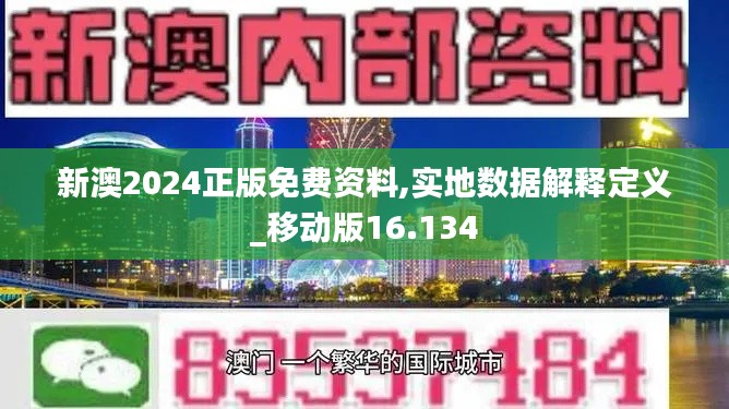 新澳2024正版免费资料,实地数据解释定义_移动版16.134