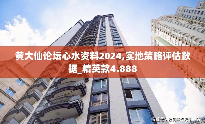 黄大仙论坛心水资料2024,实地策略评估数据_精英款4.888