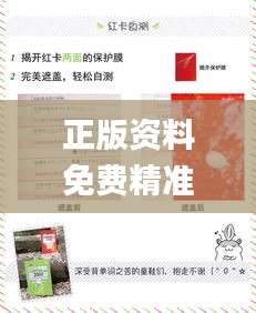 正版资料免费精准新奥生肖卡,数据解析设计导向_2DM5.796