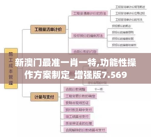 新澳门最准一肖一特,功能性操作方案制定_增强版7.569