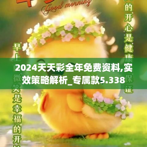 2024天天彩全年免费资料,实效策略解析_专属款5.338