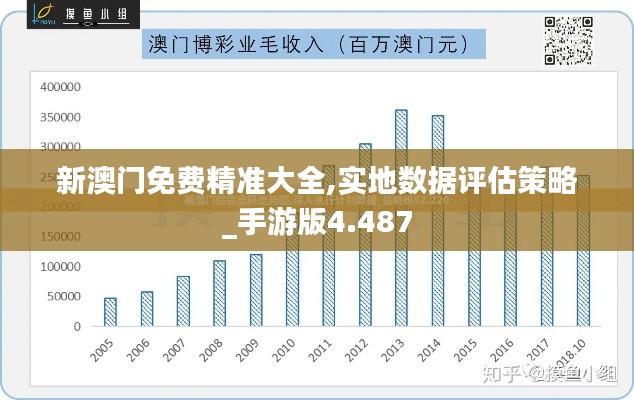 新澳门免费精准大全,实地数据评估策略_手游版4.487