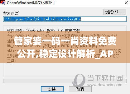 管家婆一码一肖资料免费公开,稳定设计解析_AP12.640