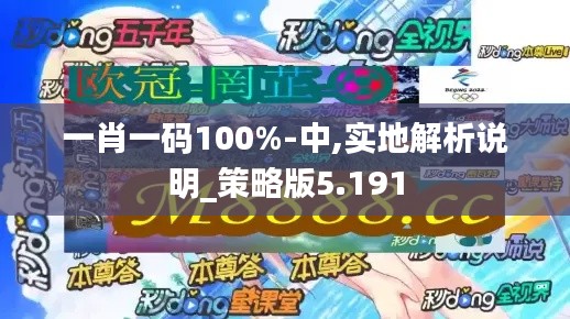 一肖一码100%-中,实地解析说明_策略版5.191