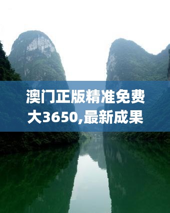 澳门正版精准免费大3650,最新成果解析说明_V210.788