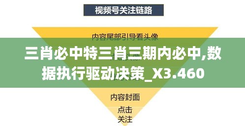 三肖必中特三肖三期内必中,数据执行驱动决策_X3.460