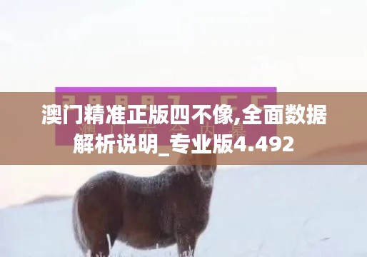 澳门精准正版四不像,全面数据解析说明_专业版4.492