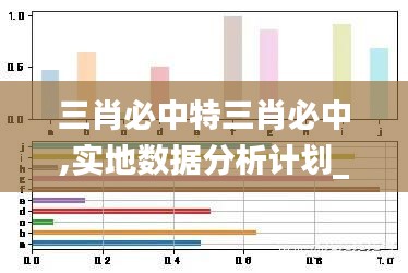 三肖必中特三肖必中,实地数据分析计划_精装版7.720