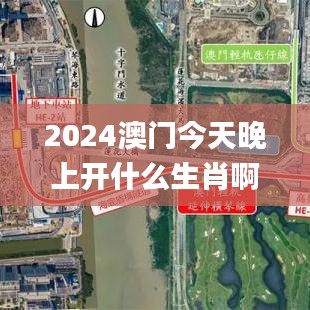 2024澳门今天晚上开什么生肖啊,持续执行策略_投资版9.926