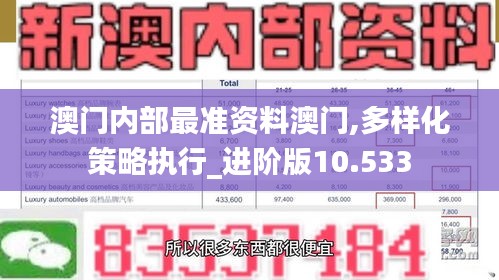 澳门内部最准资料澳门,多样化策略执行_进阶版10.533