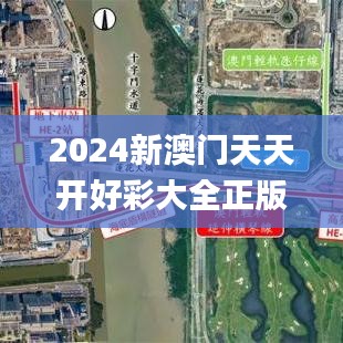 2024新澳门天天开好彩大全正版,稳定设计解析方案_标配版6.750