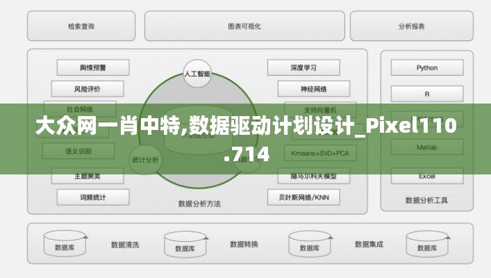 大众网一肖中特,数据驱动计划设计_Pixel110.714