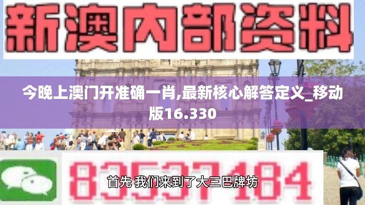 今晚上澳门开准确一肖,最新核心解答定义_移动版16.330