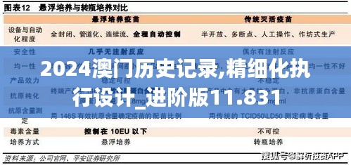 2024澳门历史记录,精细化执行设计_进阶版11.831