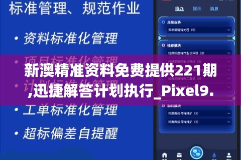 新澳精准资料免费提供221期,迅捷解答计划执行_Pixel9.125