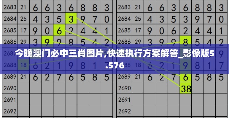 今晚澳门必中三肖图片,快速执行方案解答_影像版5.576