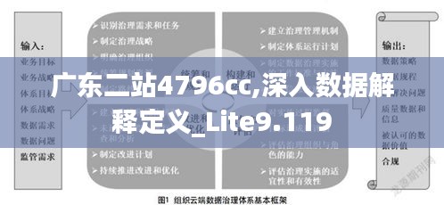 广东二站4796cc,深入数据解释定义_Lite9.119